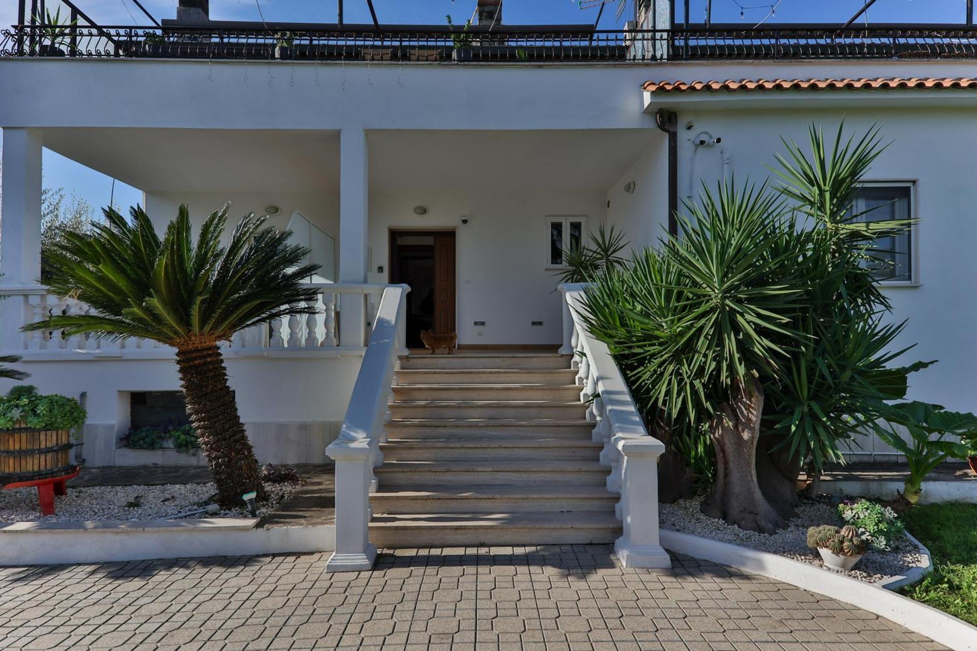 Il Giardino Di Stella Hotel Frascati Bagian luar foto